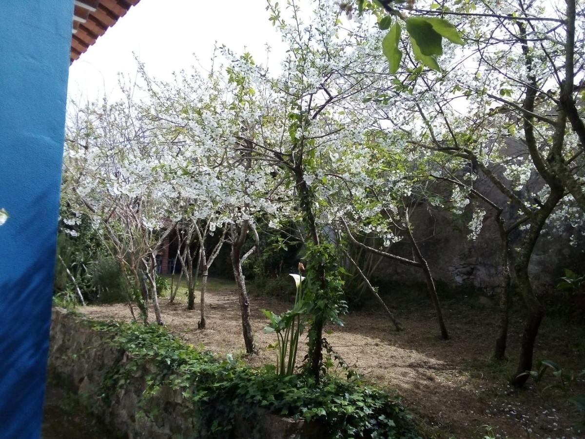 Willa Casas Altas Obidos - Al Sobral  Zewnętrze zdjęcie